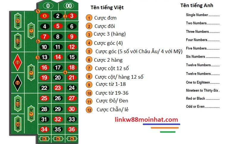 Khám phá race wikipedia và những thông tin thú vị về race wikipedia