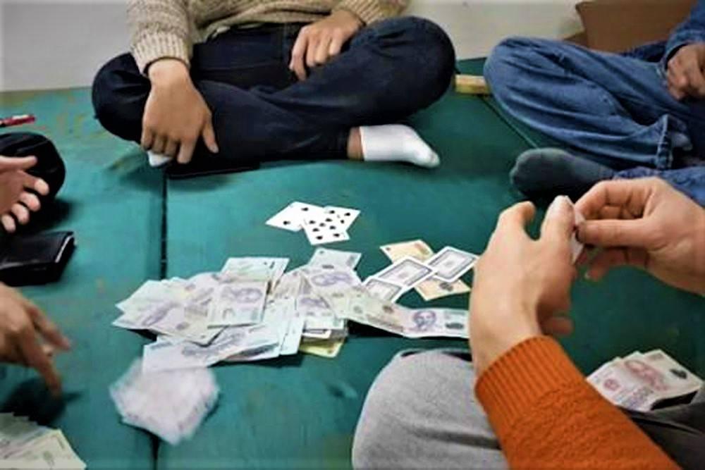 Game dam nhau độc đáo game dam nhau hay nhất năm 2024