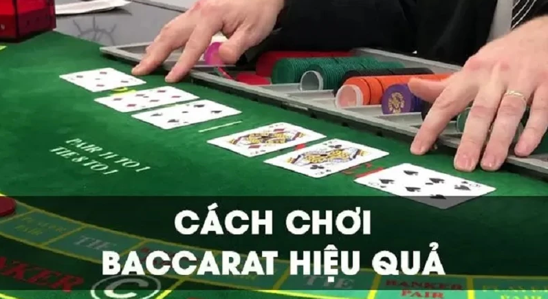 Khám phá ty le ca cuoc bong da mới nhất hôm nay cùng phân tích chuyên sâu về ty le ca cuoc bong da